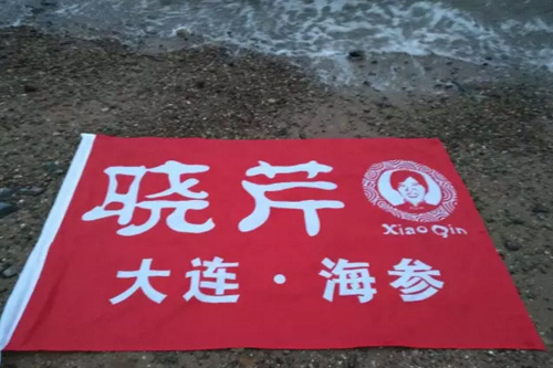 曉芹海參,遼寧海參,海參,大連海參,食品安全